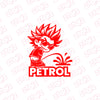 Drive Efficiently - Petrol Indicator for Fuel Clarity